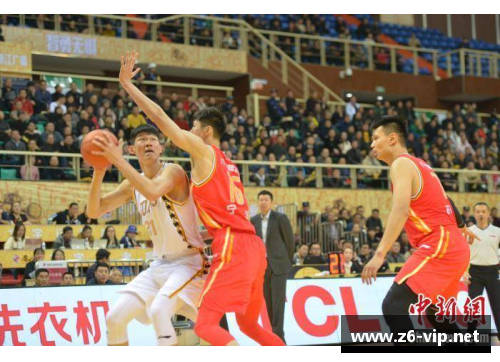 邢台CBA球员聚焦：球队动态与明星表现全面解析
